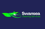 visit Swansea cleaning services