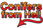 Visit Conifers from Hell